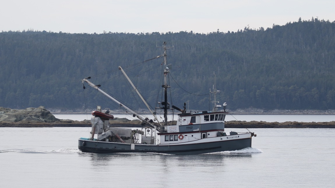 Fishing boat