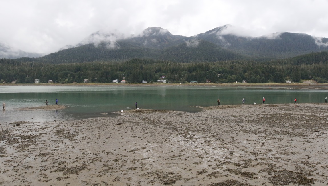 Fishing near Dipac