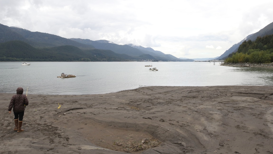 Fishing near Sheep Creek