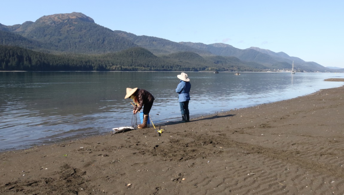 Fishing near Sheep Creek