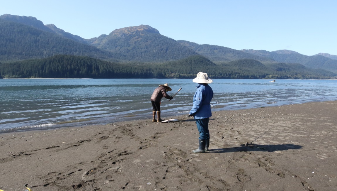 Fishing near Sheep Creek