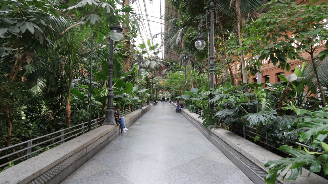 Inside Puerta de Atocha train station