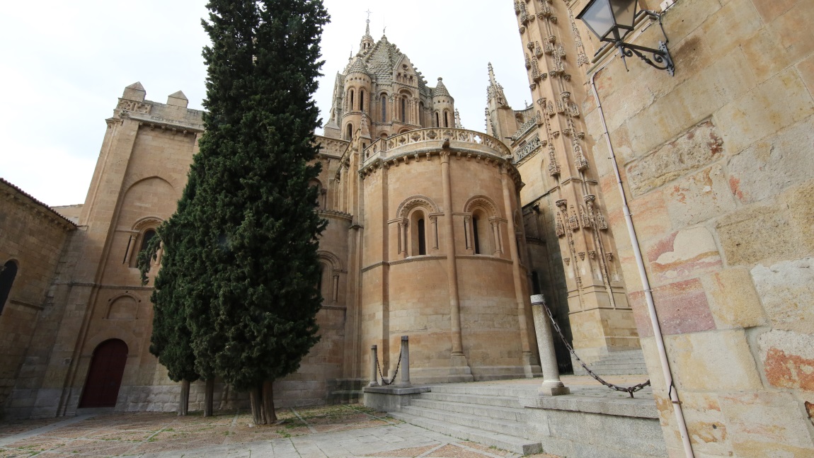 Catedral Vieja de Salamanca