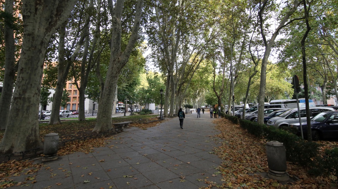 Museo Del Prado botanical garden