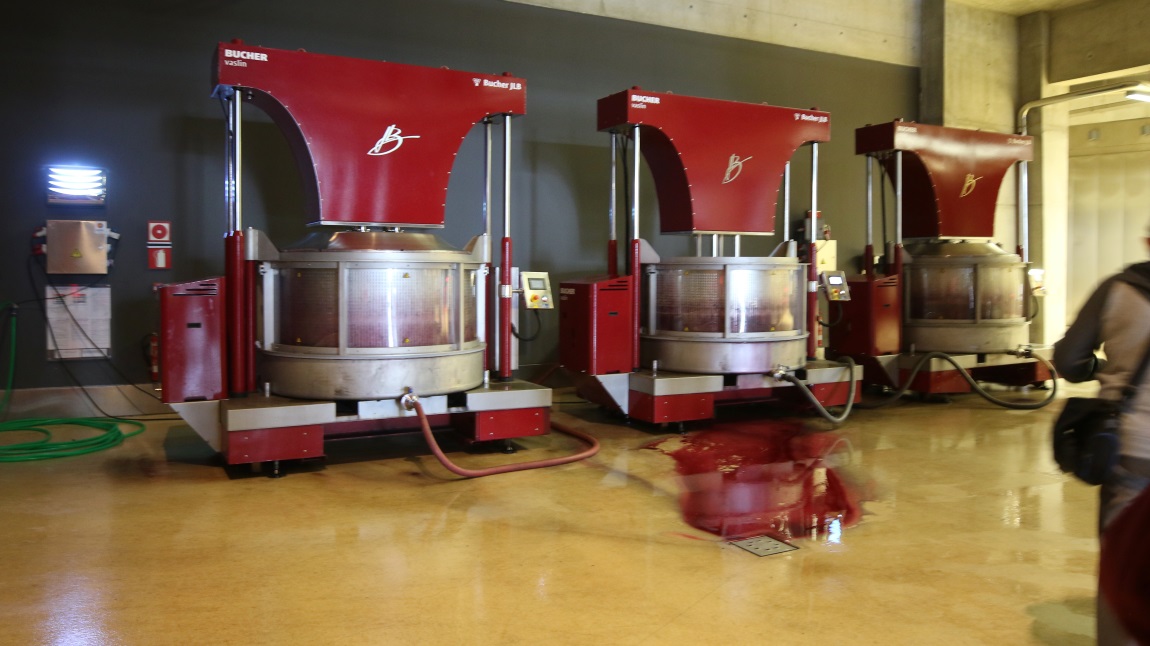 Wine production