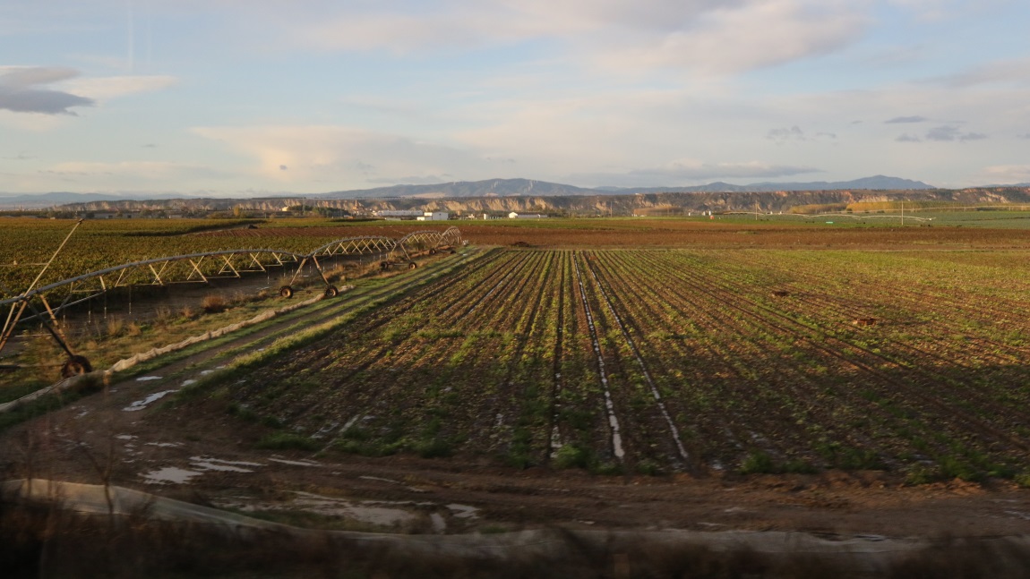 Large farms