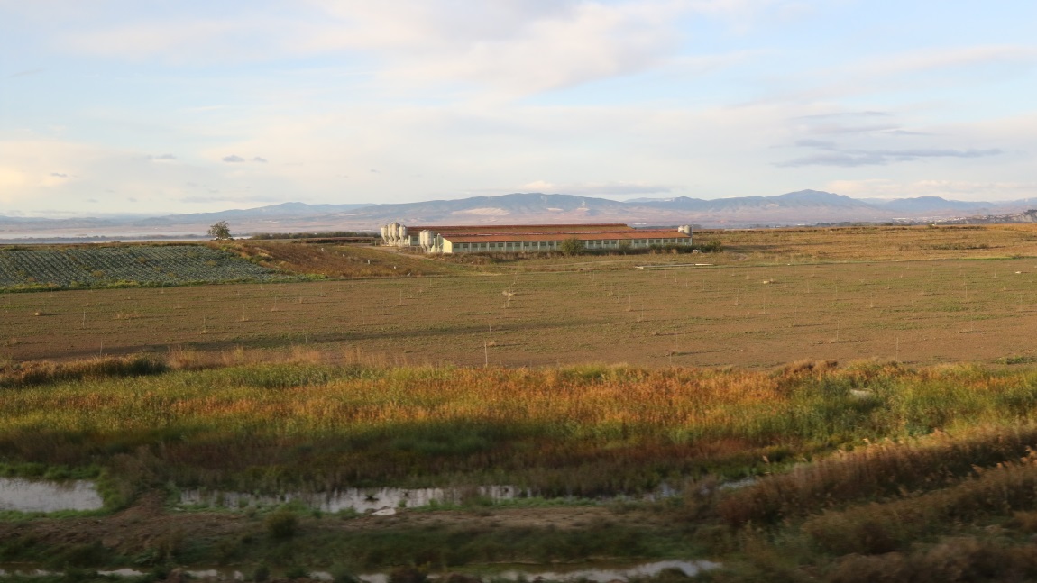 Huge farming operation