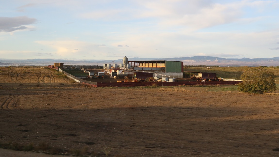 Ranch near Cadreita