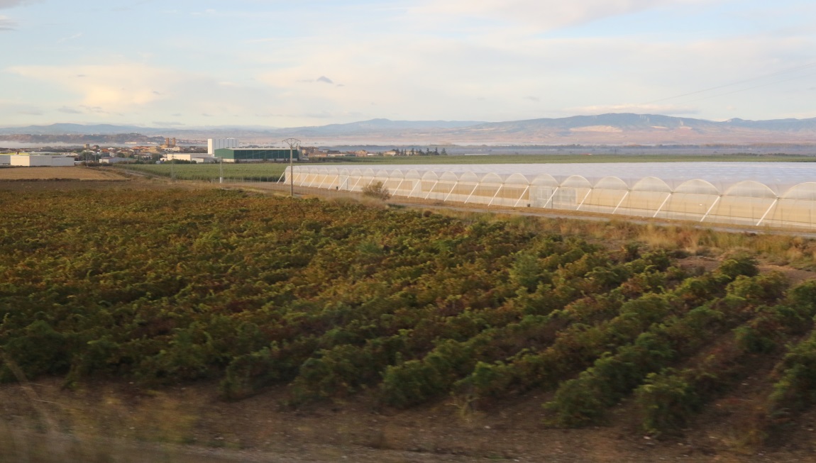 Farm near Cadreita