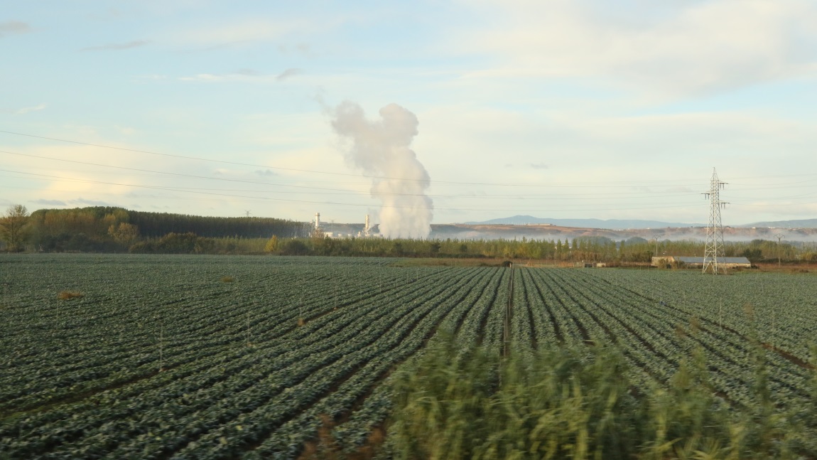 Farm near Castejn