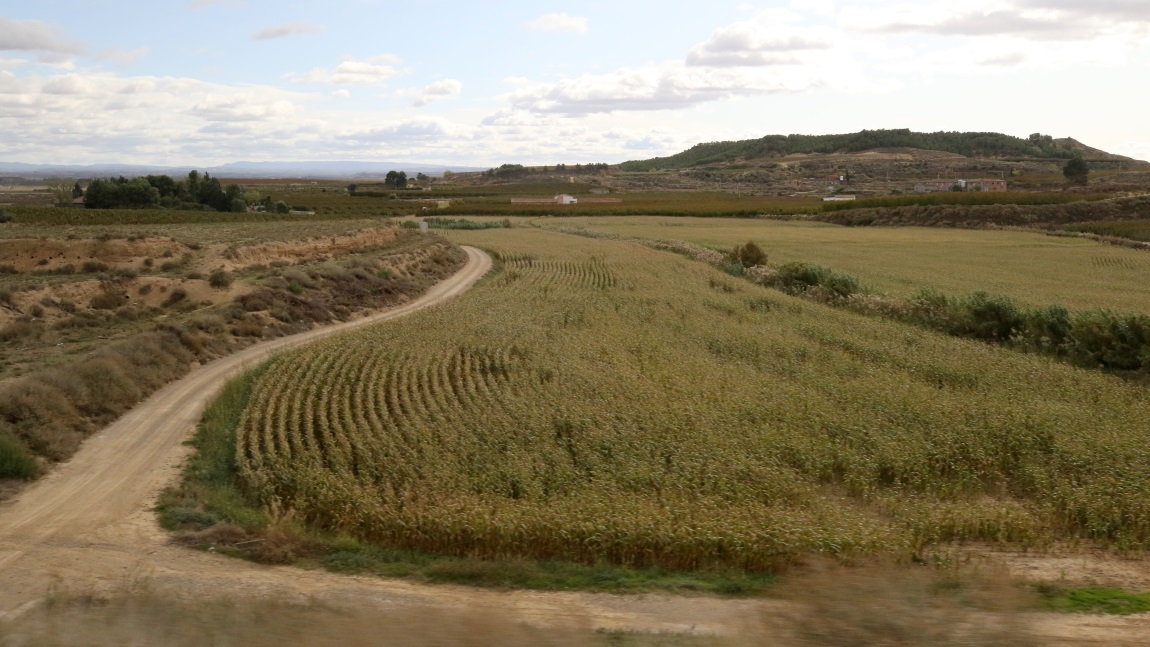 Farming near Sunyer