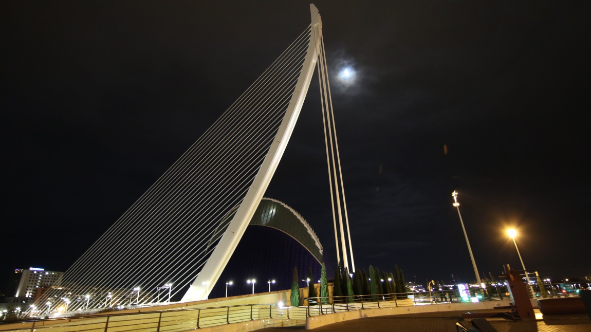 Assut de l'Or Bridge