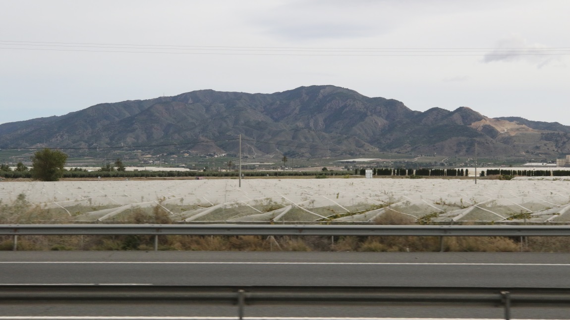 Farming near Librilla