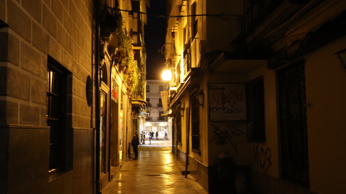 Calle Oficios