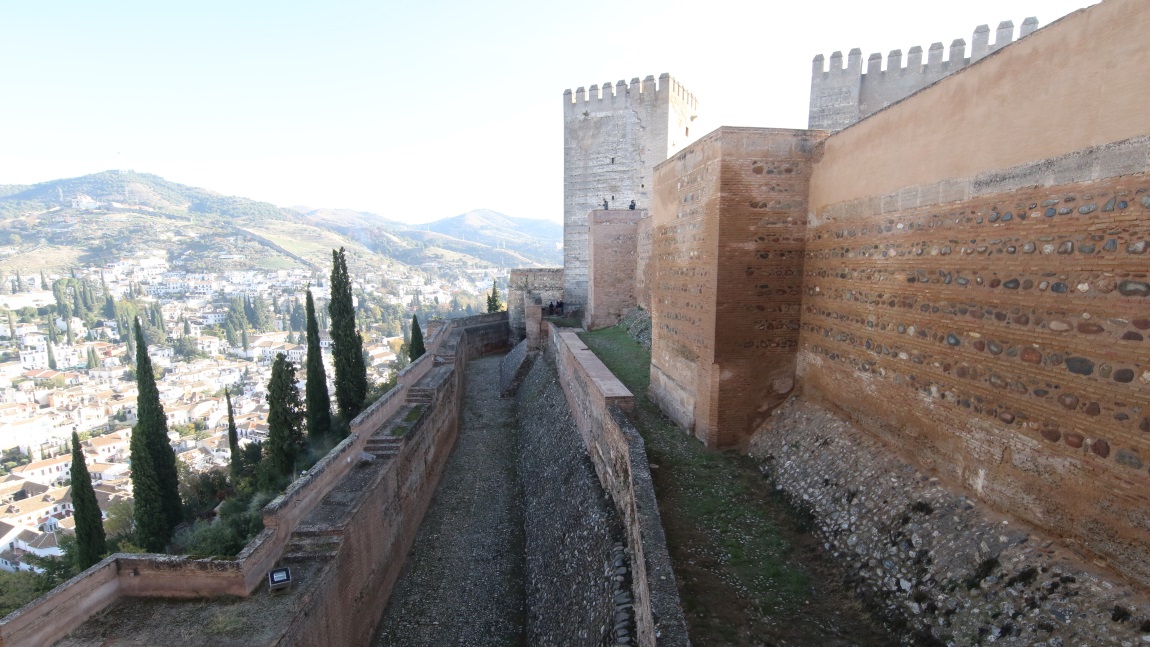 View from Torre de las Armas
