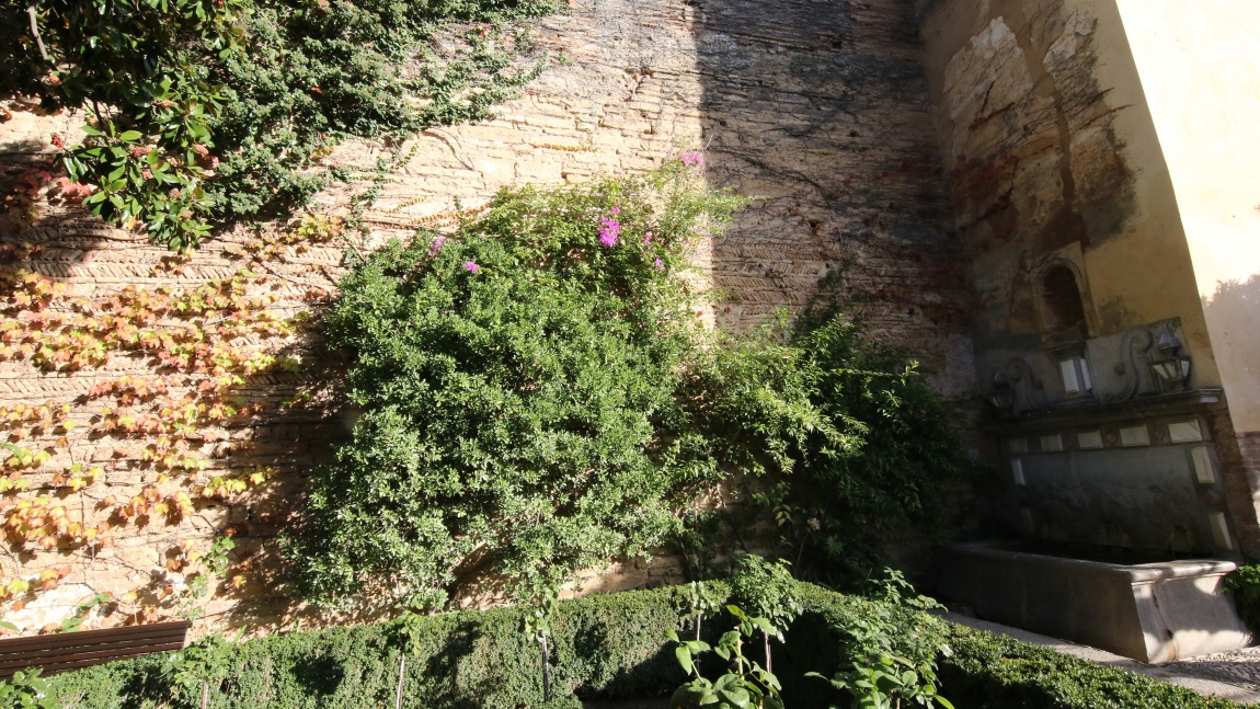 Garden de Los Adarves