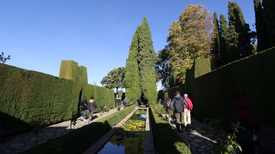 Promenade of the Cypress Trees