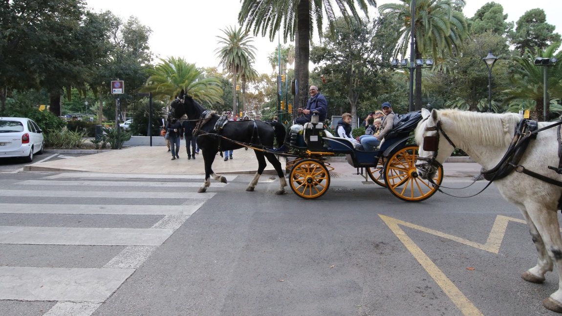 Carriage rides