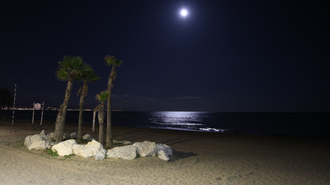 Moon rising over the beach
