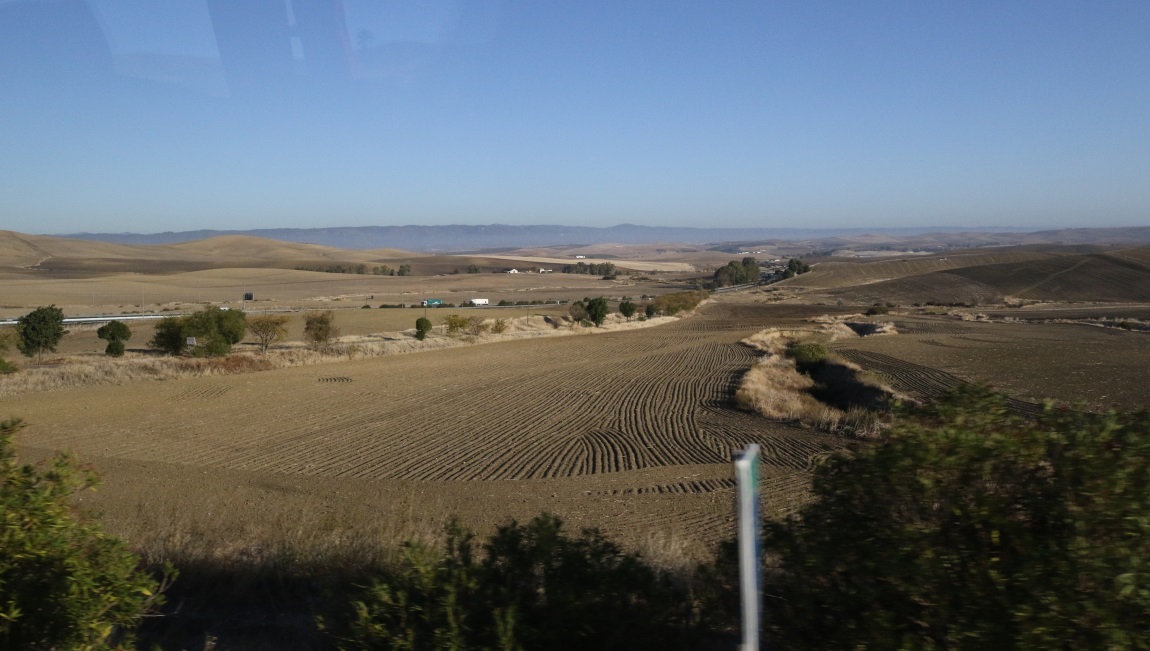 Farms in Puente Viejo