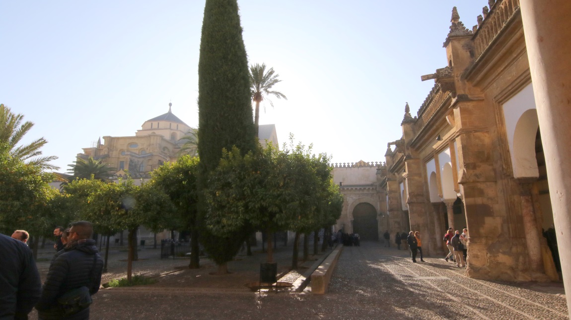 Courtyard of the Orange trees