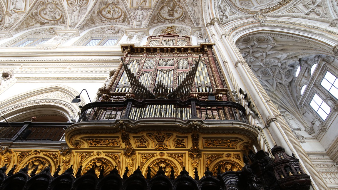 The other organ