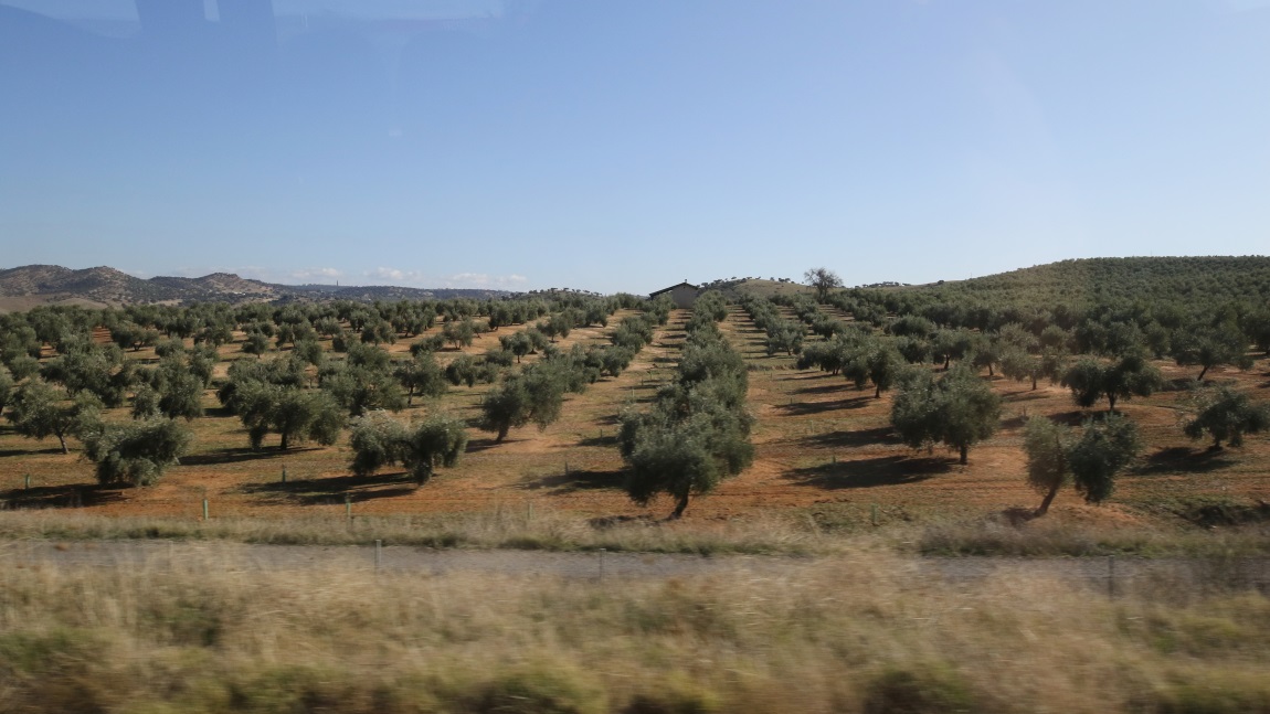 Farm near Guarromn