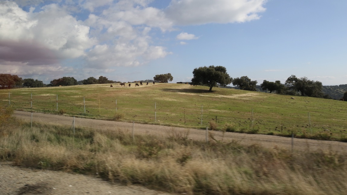 Farm near Navas de Tolosa