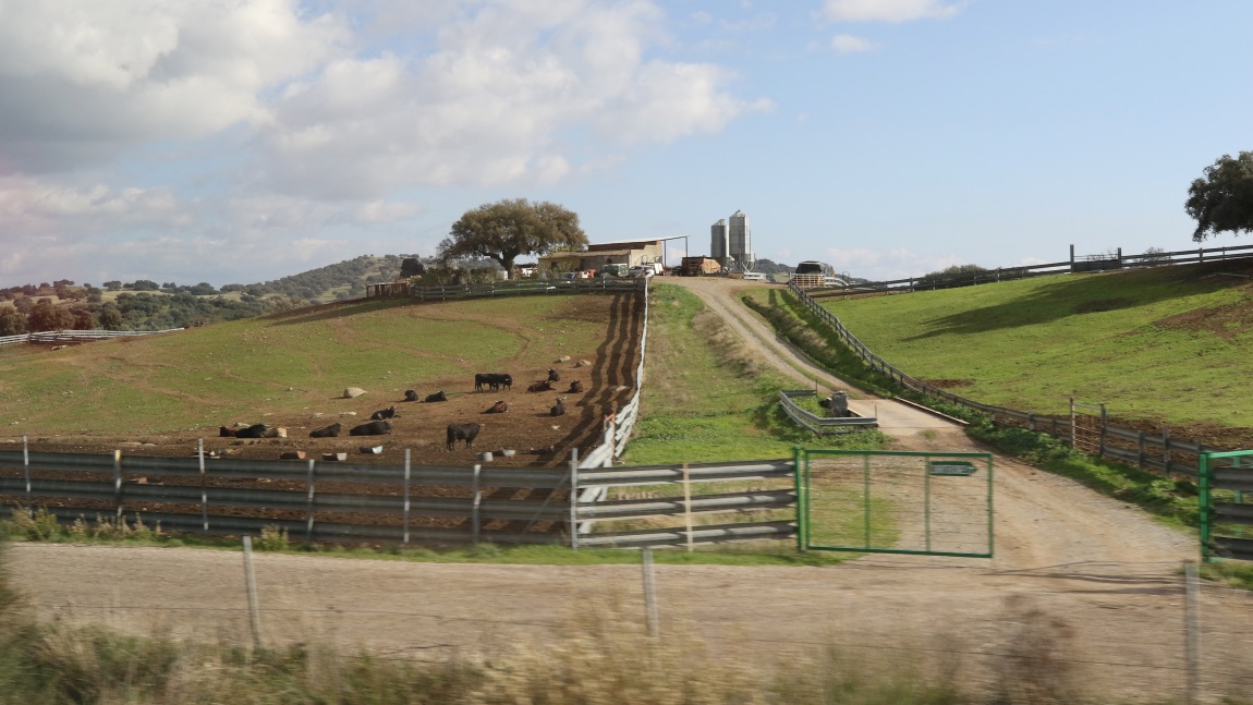 Farm near Navas de Tolosa