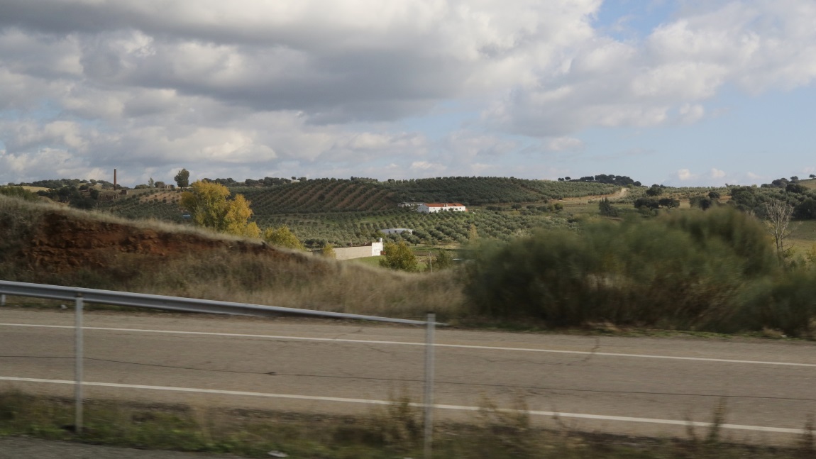 Farm near Navas de Tolosa