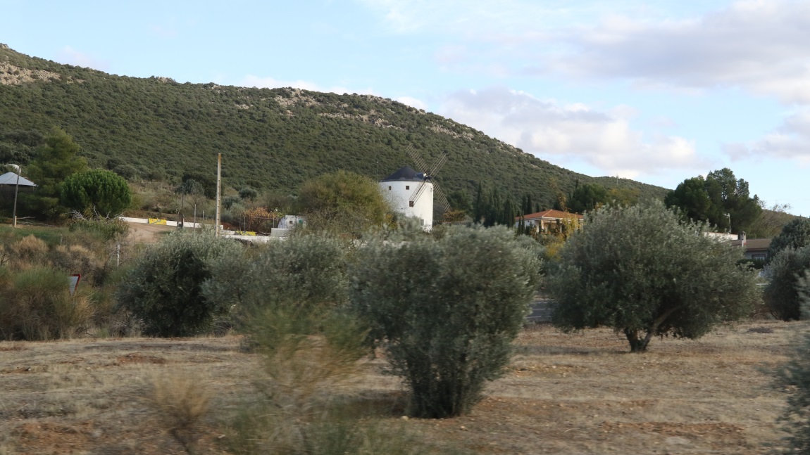 Windmill