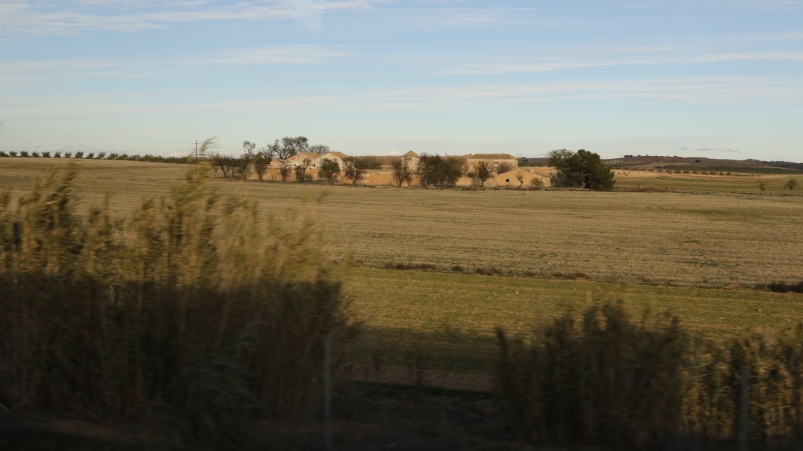 Farms north of Madridejos
