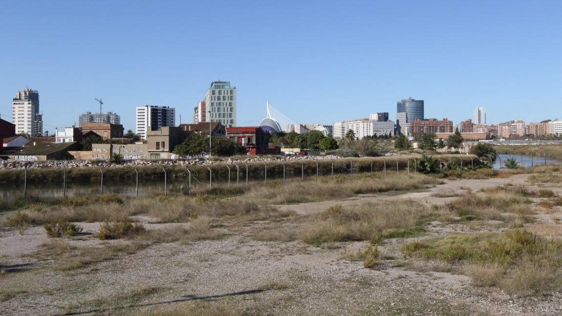 Looking across the Turia River