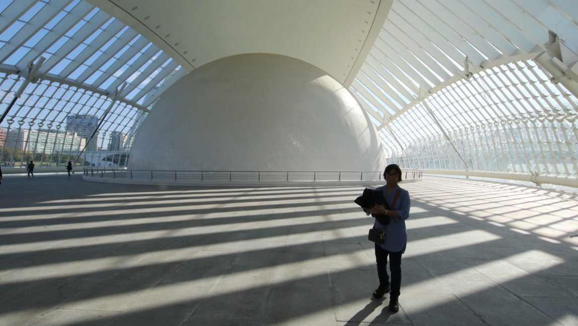 Inside the Hemisfric IMAX Theater