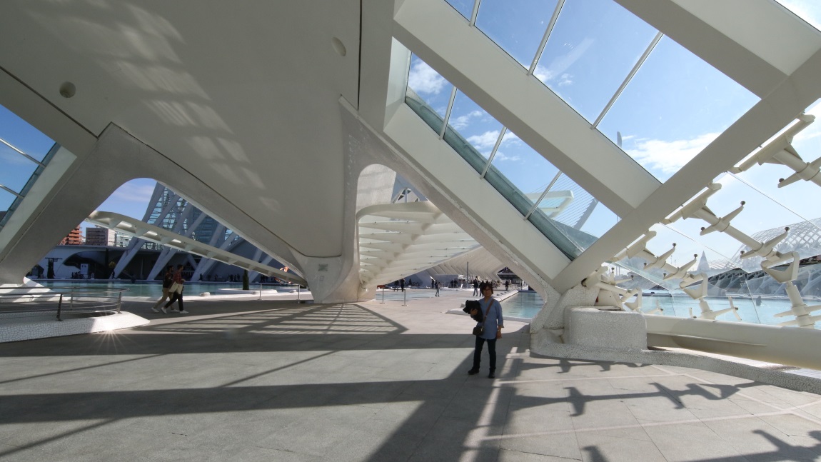 Inside the Hemisfric IMAX Theater