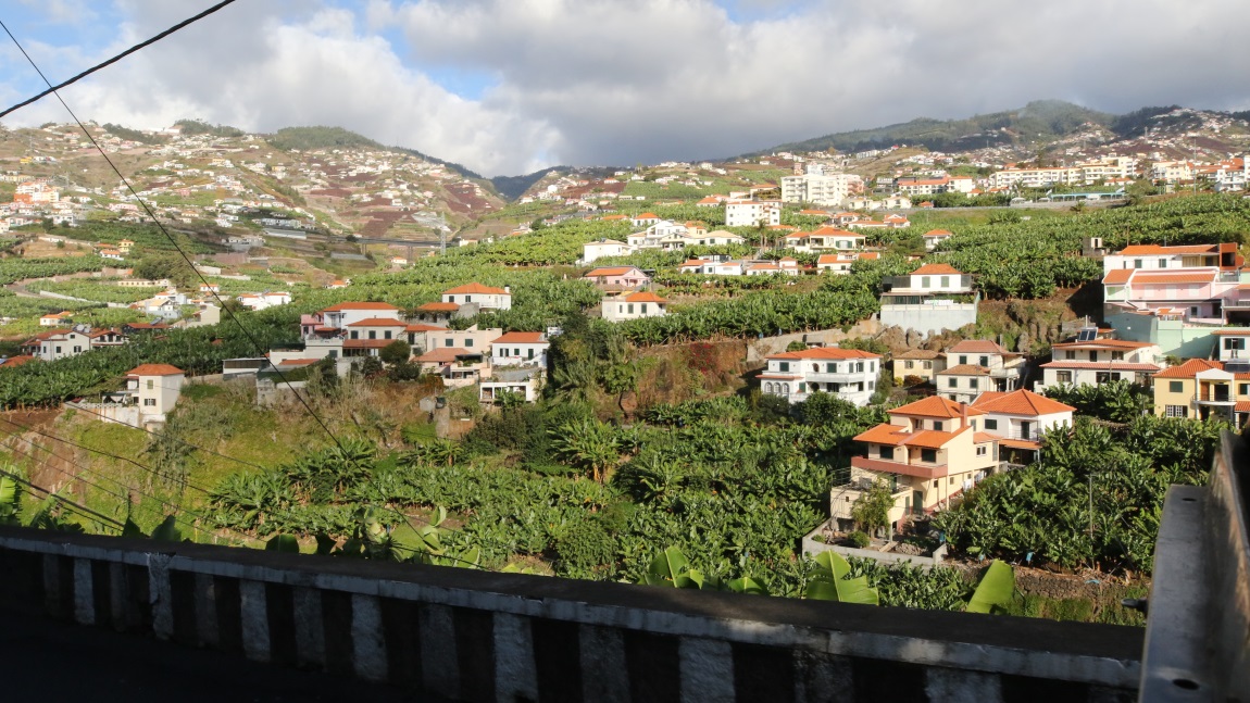 Estrada Joo Gonalves Zarco street