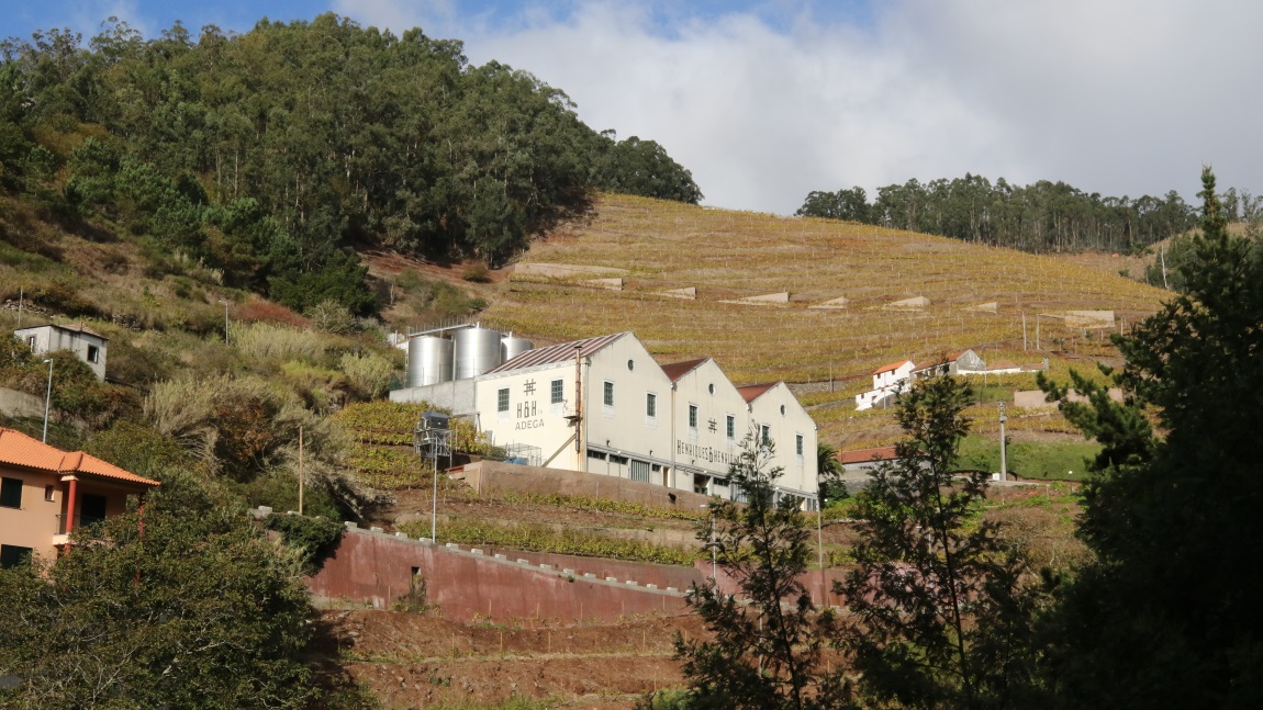 Henriques and Henriques vineyard