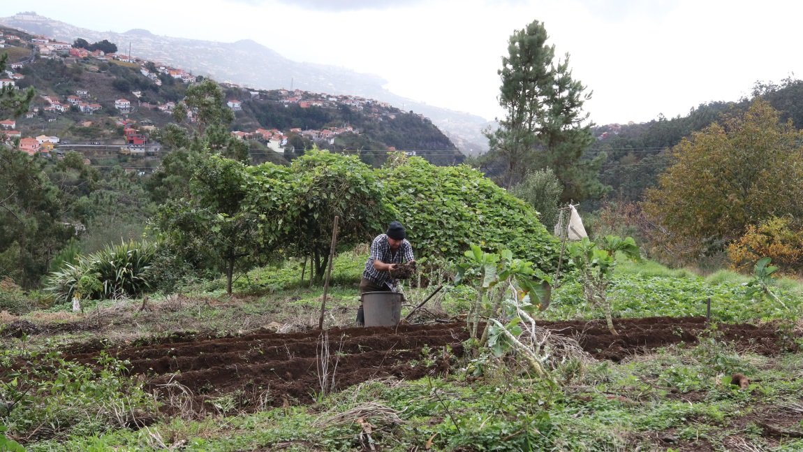 Farming on a mountain top