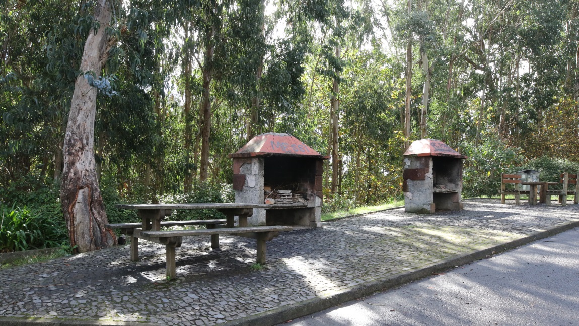 Rest area