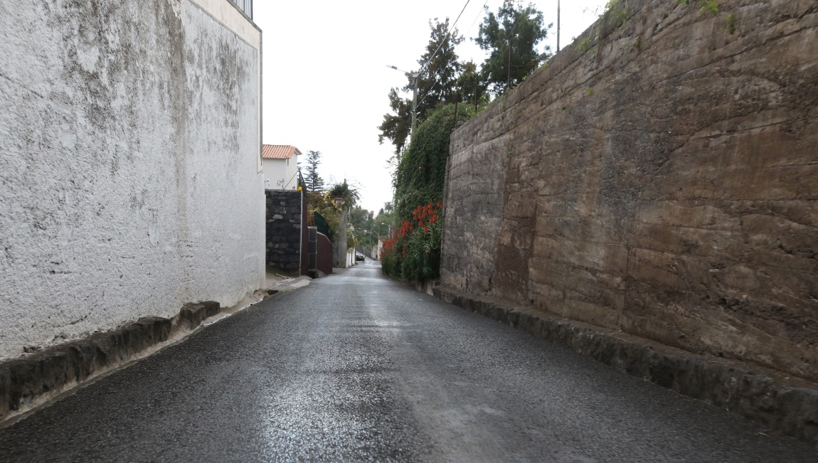 Shiny street