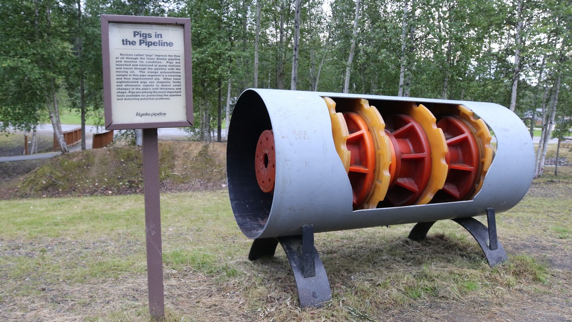 Pipeline cleaning pig