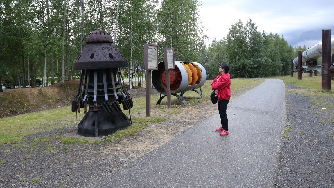 Pipeline cleaning pigs