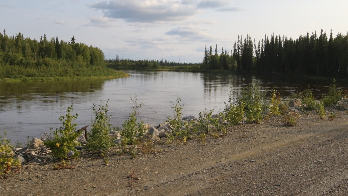 Next to Birch Creek
