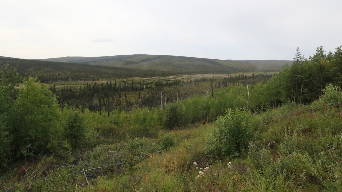 Nome Creek area