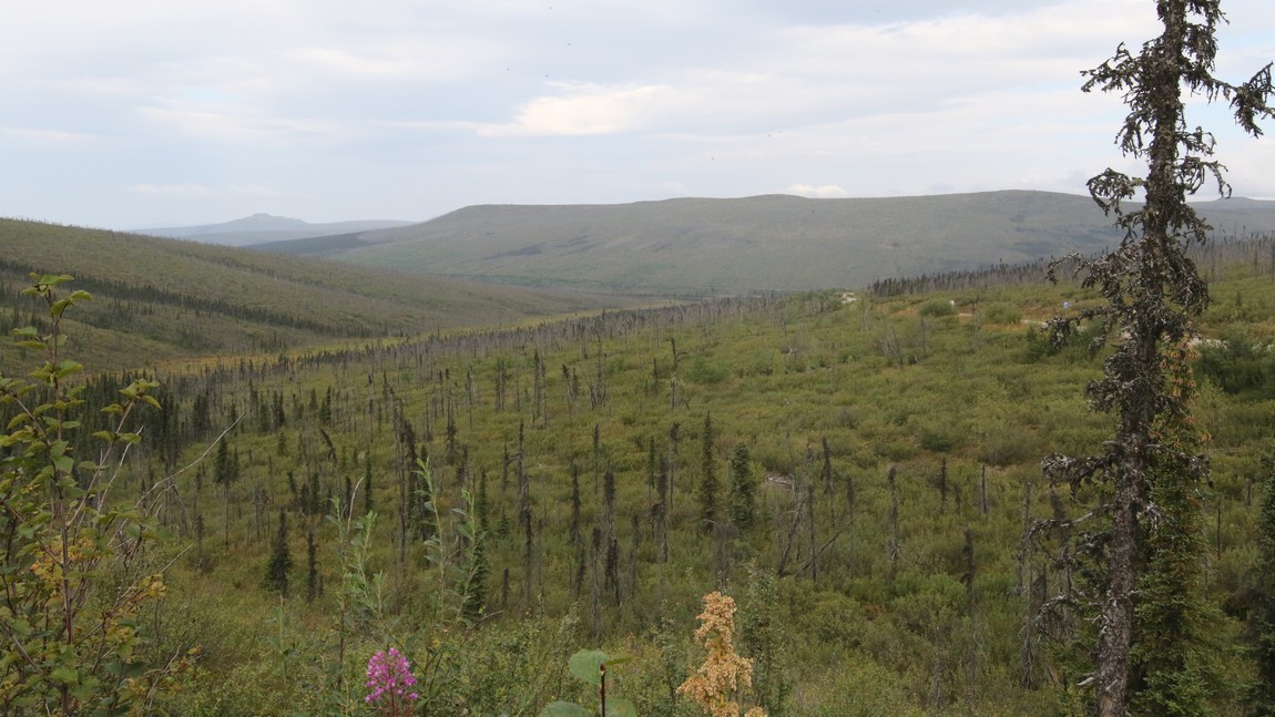 View from the summit