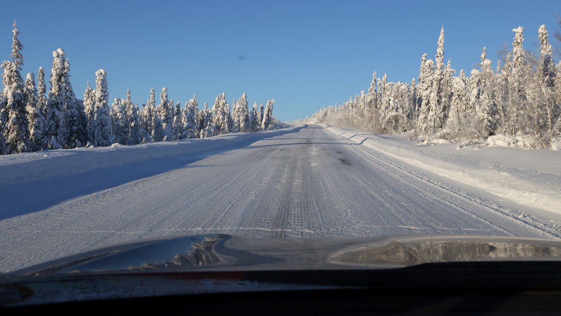 Ice and snow covered trees