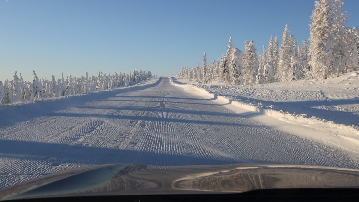 Ice and snow covered trees