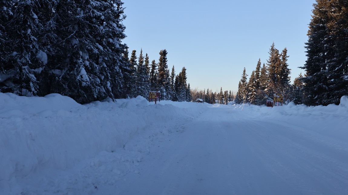 Entering Bettles